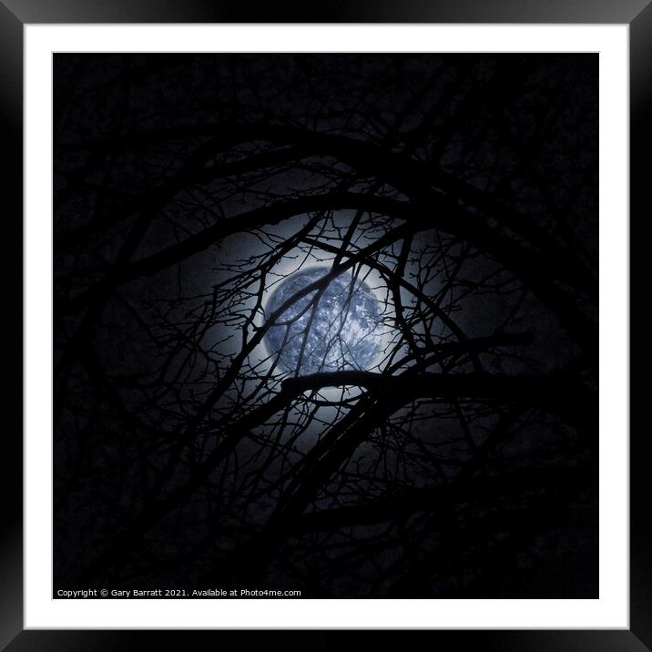 Blue Moonglow. Framed Mounted Print by Gary Barratt