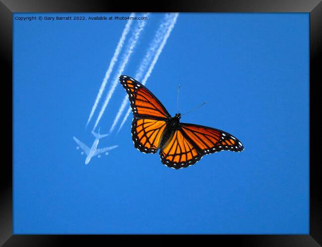 A Nice Day To Fly! Framed Print by Gary Barratt