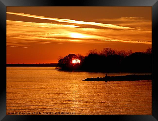 Golden Sunset In The Woods Framed Print by Gary Barratt