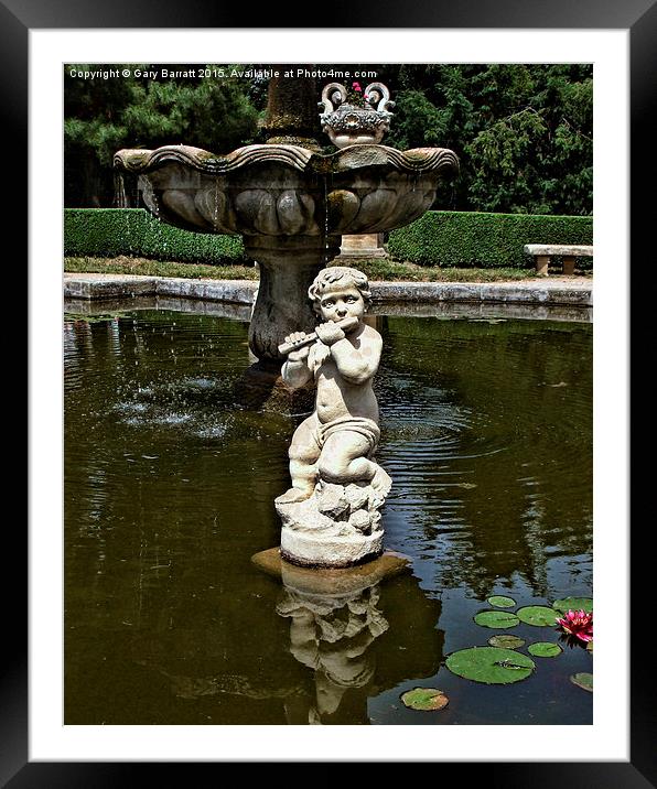  Flute In a Pond. Framed Mounted Print by Gary Barratt