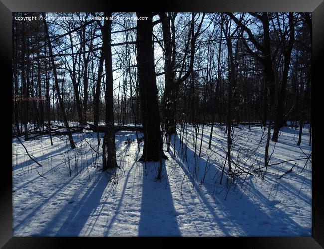 Long Winter Shadows Framed Print by Gary Barratt