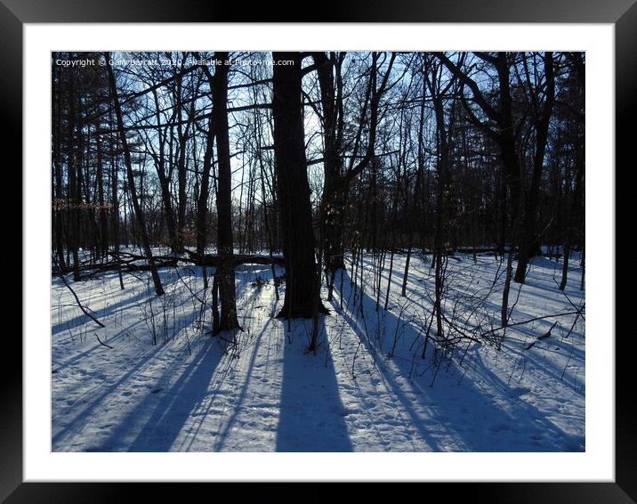 Long Winter Shadows Framed Mounted Print by Gary Barratt