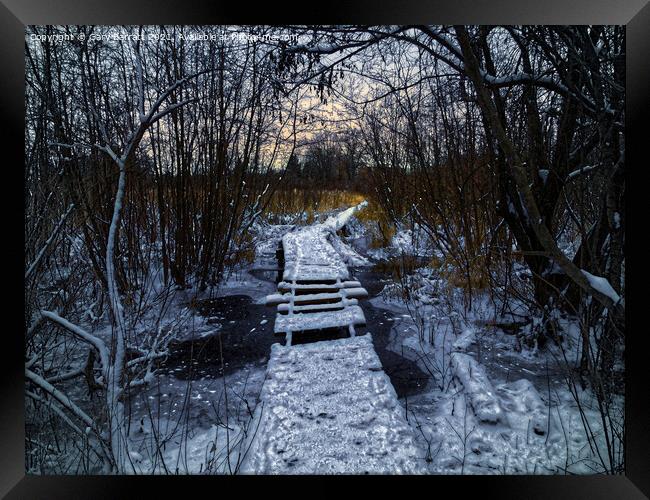 An Icy Winter's Path. Framed Print by Gary Barratt