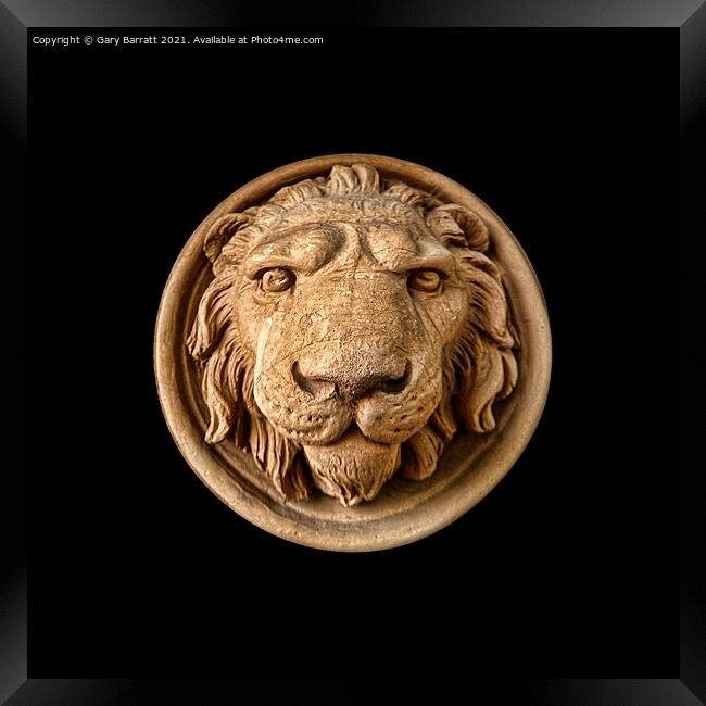 Lion Head Face Framed Print by Gary Barratt