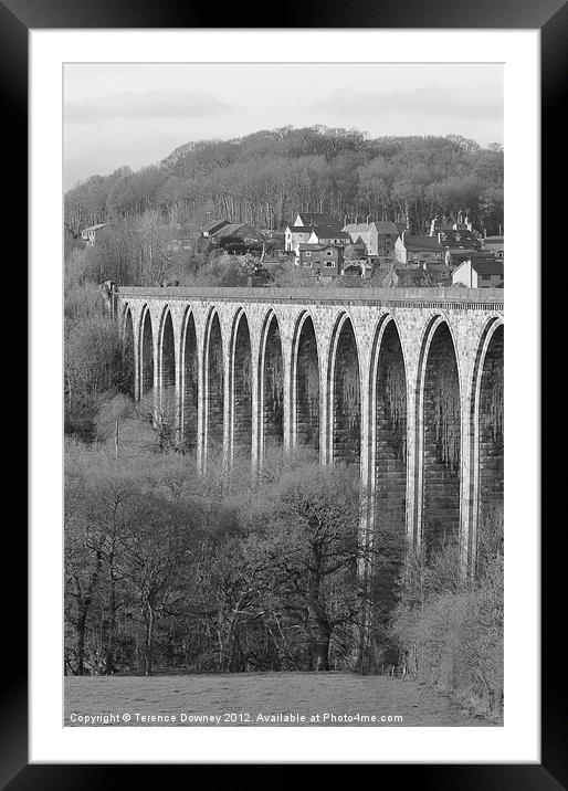 Rail-bridge at Llangollen Framed Mounted Print by Terence Downey