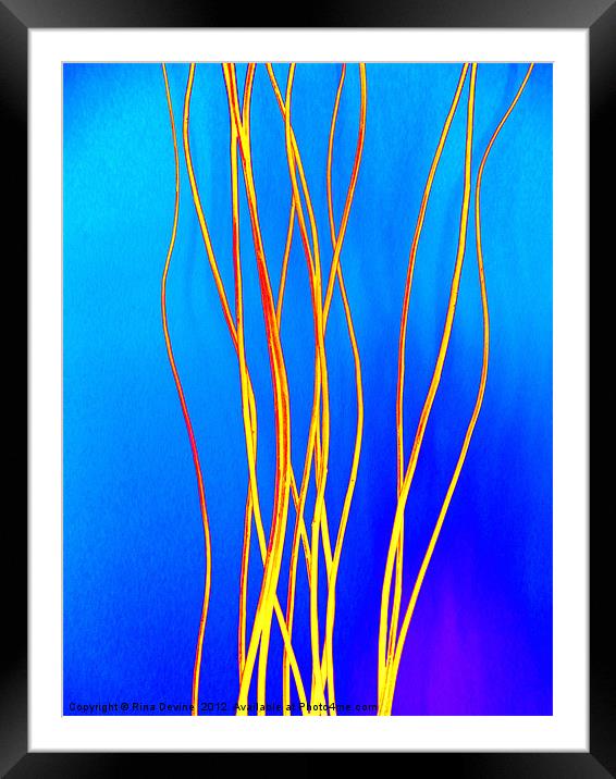 Luminous Twigs Framed Mounted Print by Fine art by Rina