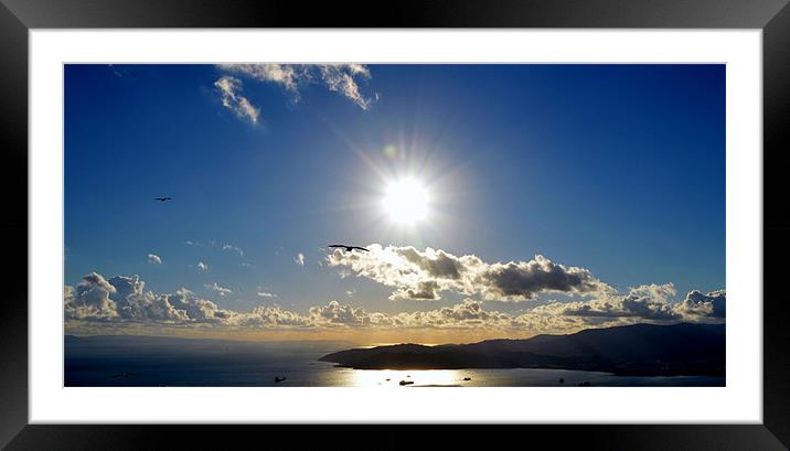Flying over the Bay Framed Mounted Print by Fine art by Rina
