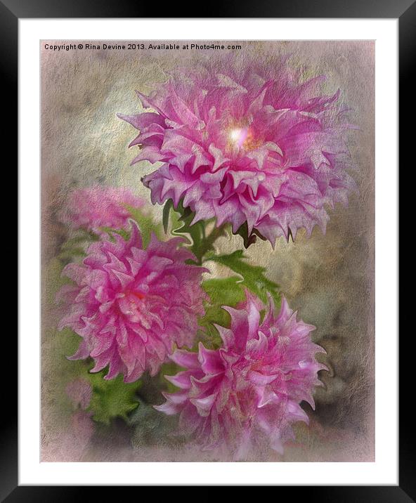 Pinkies Framed Mounted Print by Fine art by Rina
