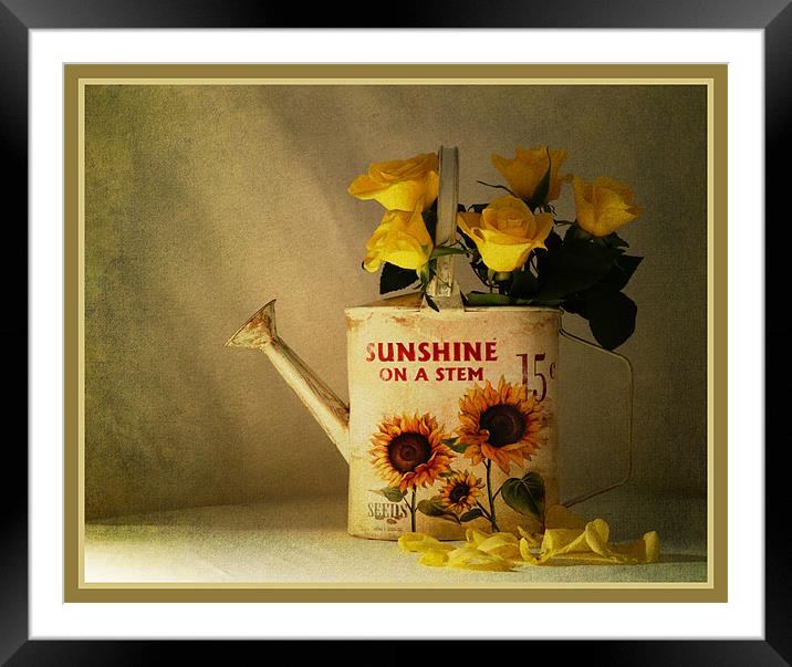 Sunshine Framed Mounted Print by Fine art by Rina