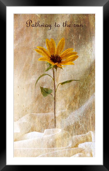 Pathway to the sun Framed Mounted Print by Fine art by Rina