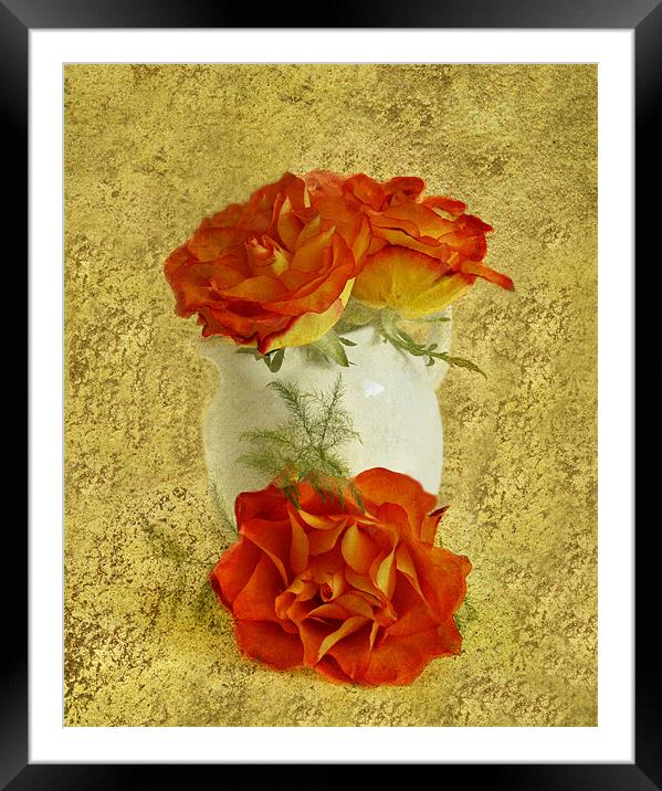 Sweet Roses Framed Mounted Print by Fine art by Rina