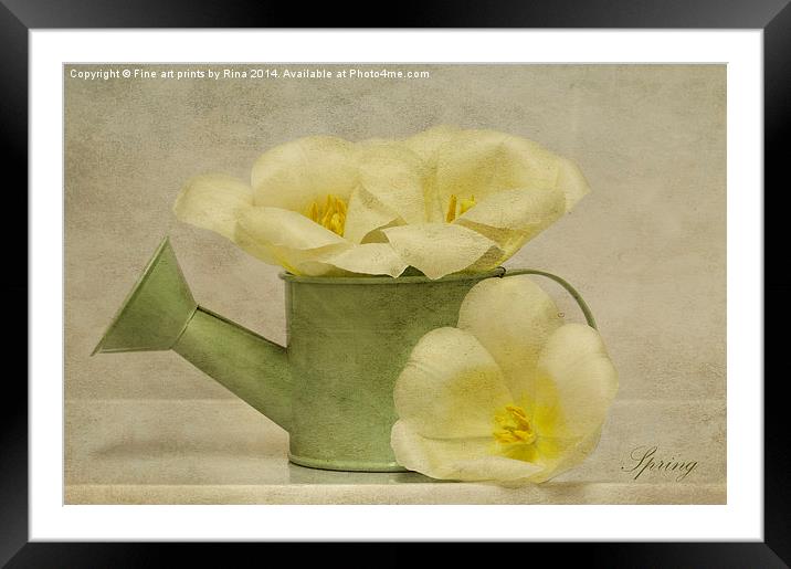 Spring Framed Mounted Print by Fine art by Rina