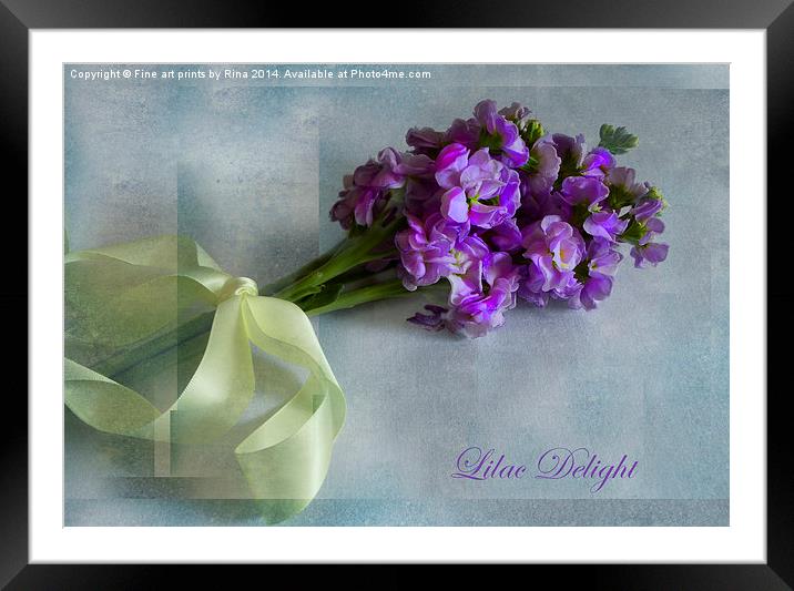 Lilac Delight Framed Mounted Print by Fine art by Rina