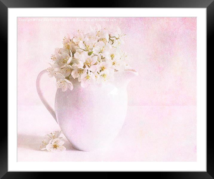 Pretty as a picture (2) Framed Mounted Print by Fine art by Rina