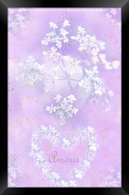 Amour Framed Print by Fine art by Rina