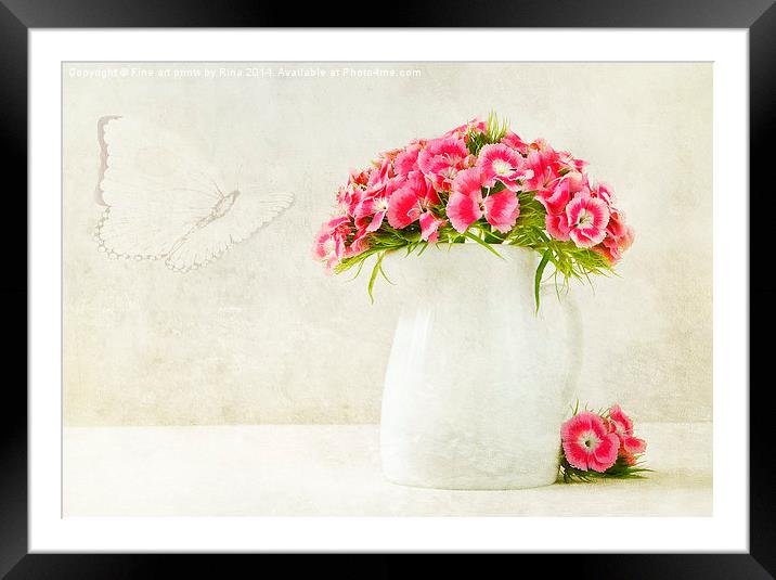 Sweet William Framed Mounted Print by Fine art by Rina