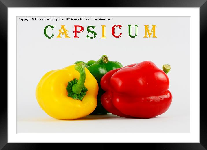 Capsicum Framed Mounted Print by Fine art by Rina