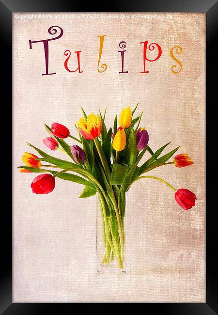 Tulips Framed Print by Fine art by Rina