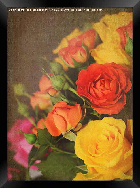  Textured Roses Framed Print by Fine art by Rina