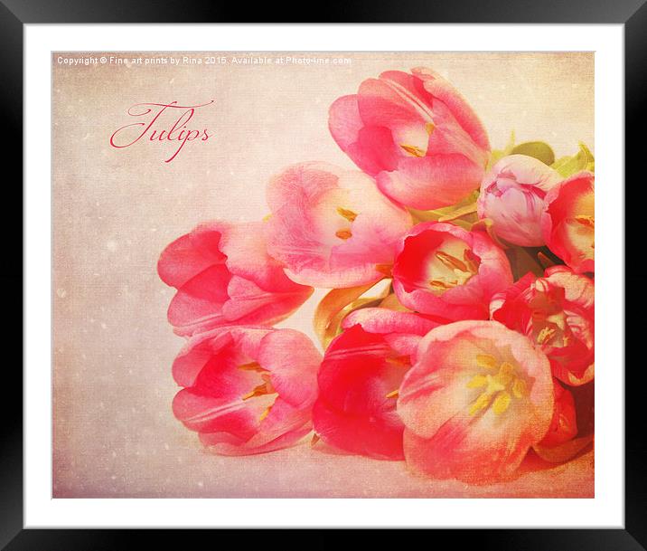  Tulips Framed Mounted Print by Fine art by Rina