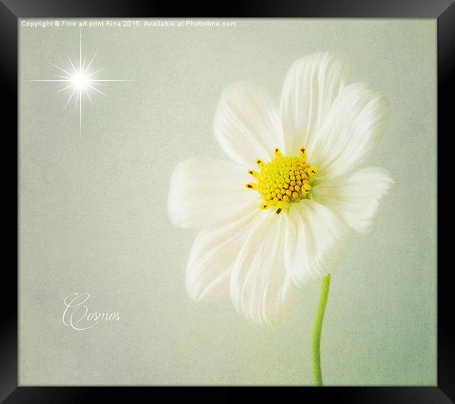 Cosmos Framed Print by Fine art by Rina