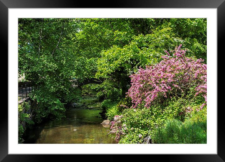  River Colne, Marsden Framed Mounted Print by Fine art by Rina