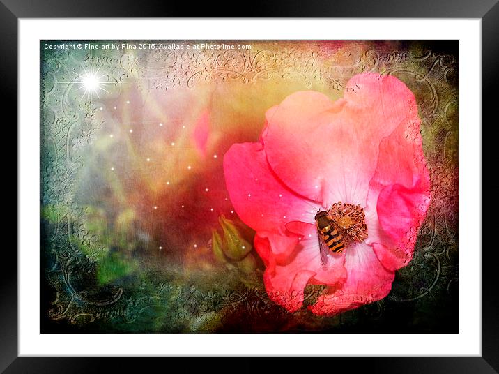  Nature Framed Mounted Print by Fine art by Rina