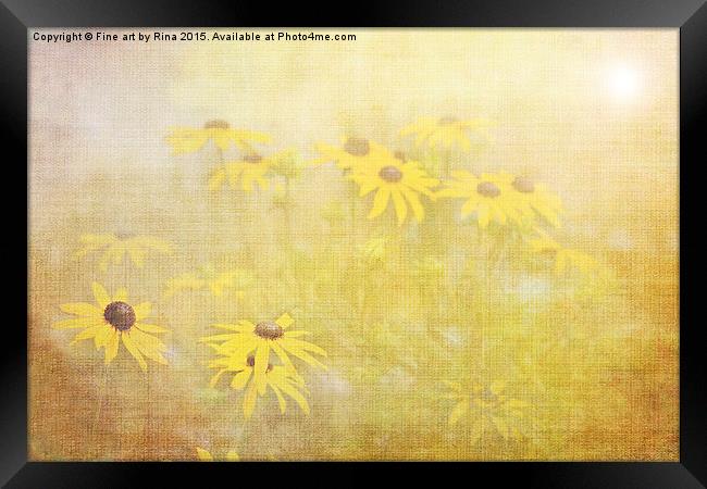  Summer time Framed Print by Fine art by Rina