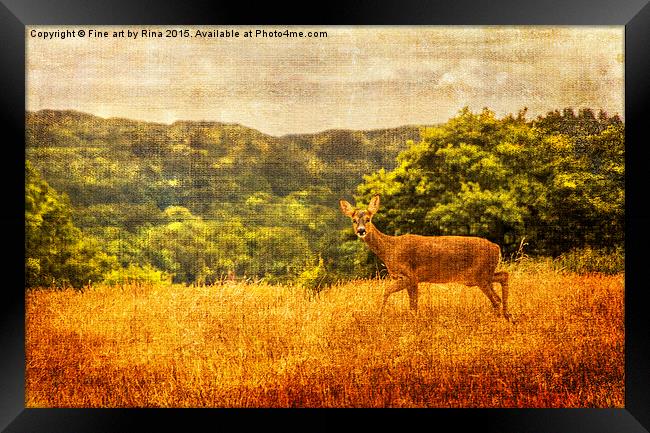  Deer in the wild Framed Print by Fine art by Rina