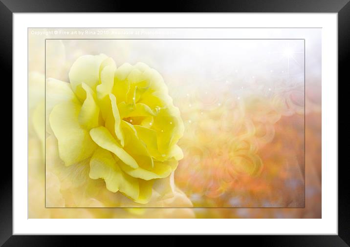  The Rose Framed Mounted Print by Fine art by Rina