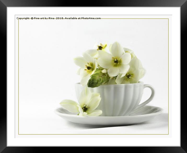 Chincherinchee Framed Mounted Print by Fine art by Rina