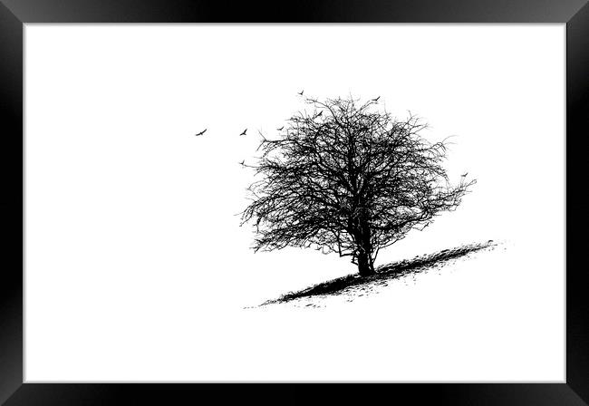 The Tree Framed Print by Fine art by Rina