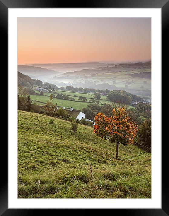 Misty Autumn Dawn Framed Mounted Print by peter jeffreys