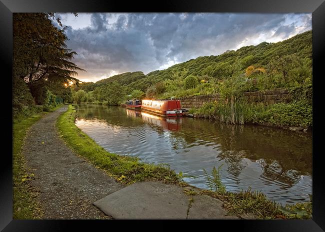 The Golden Touch Framed Print by peter jeffreys