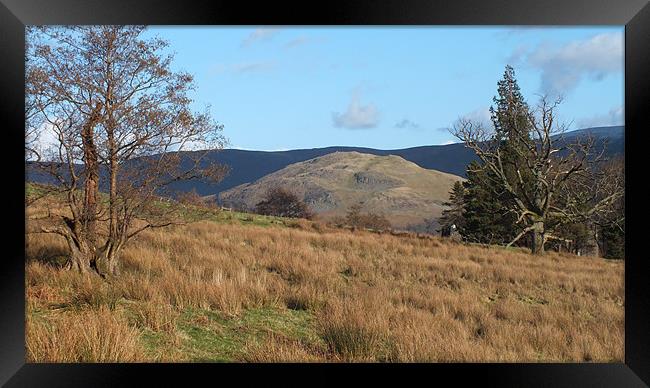 Lake District Hills Framed Print by Mandy Dawkins