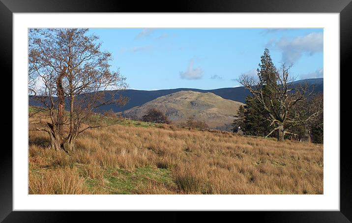 Lake District Hills Framed Mounted Print by Mandy Dawkins