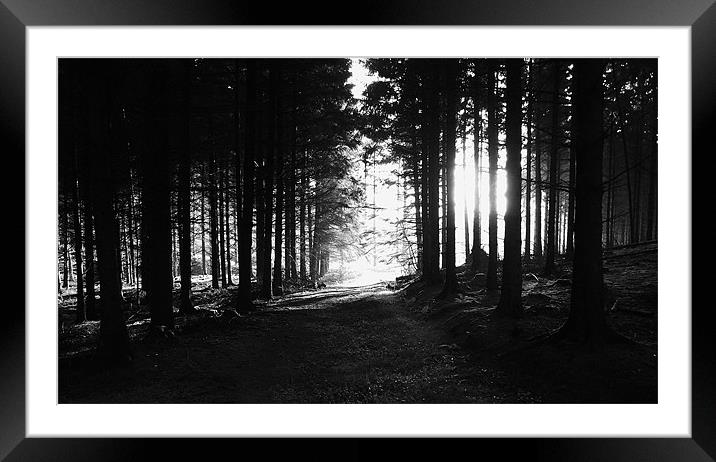 Morning Light Framed Mounted Print by Mandy Dawkins