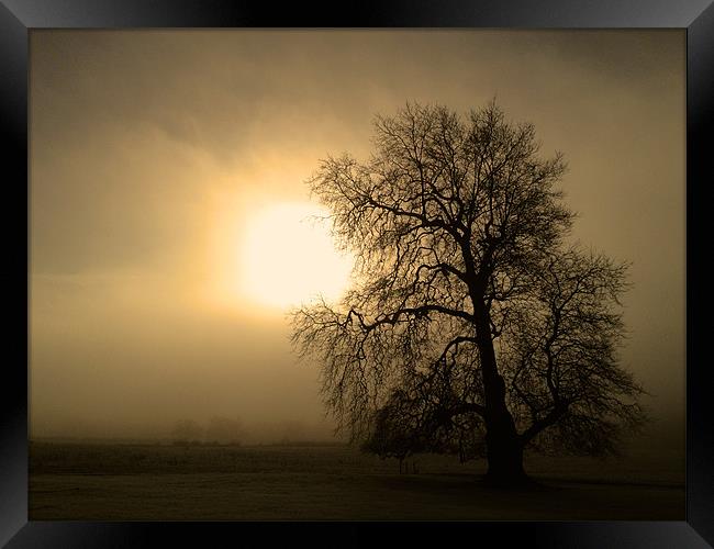 Morning Mist Framed Print by Kevin Warner