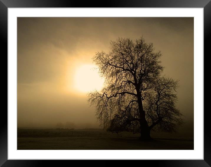 Morning Mist Framed Mounted Print by Kevin Warner