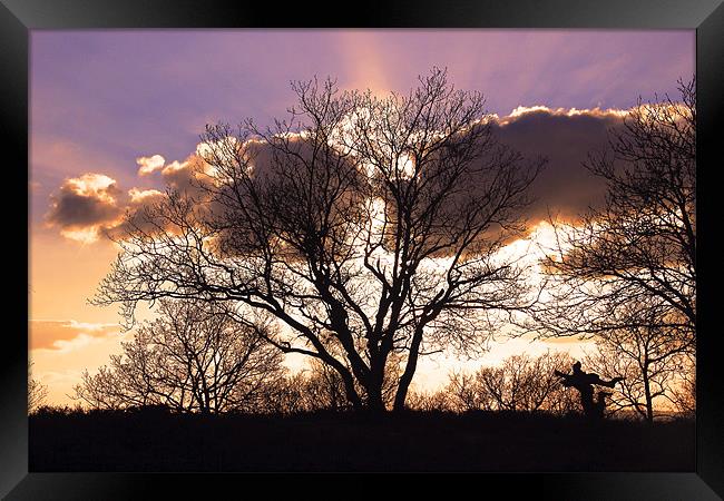 Surrey Hills Ballerina Sunset Framed Print by Kevin Warner