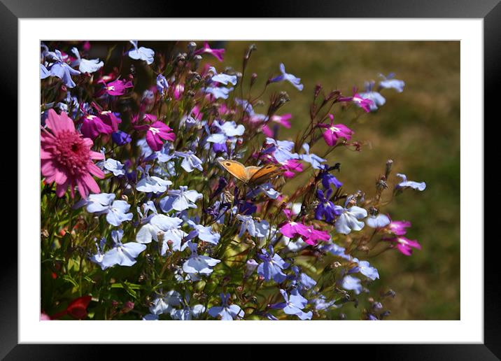 Spreading Joy Framed Mounted Print by George Mendham