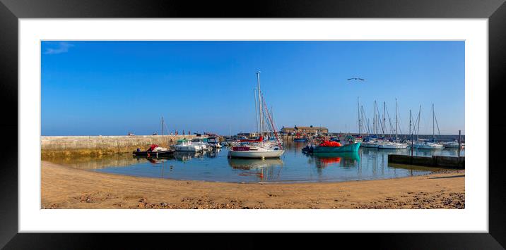 Lyme Regis Harbour Framed Mounted Print by Maggie McCall