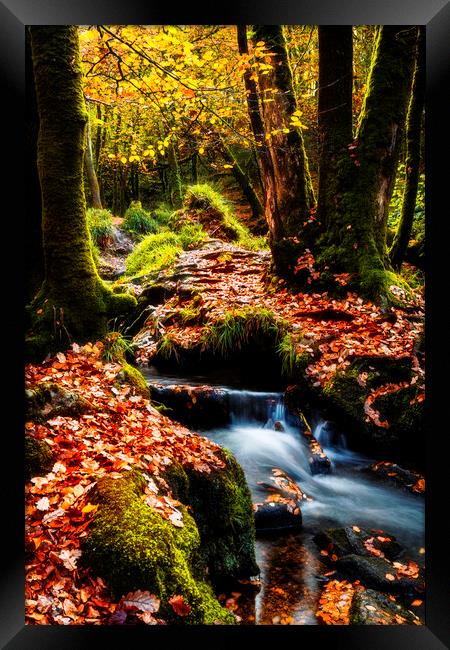 Golitha Falls, Cornwall Framed Print by Maggie McCall