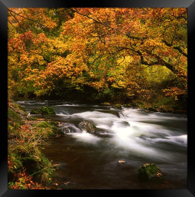 Brathay River, Clappersgate,  Lake District. Framed Print by Maggie McCall