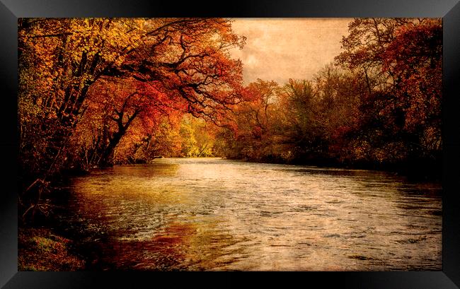 Autumnal River Tamar Framed Print by Maggie McCall
