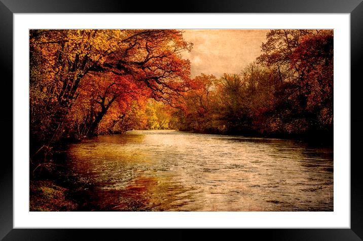 Autumnal River Tamar Framed Mounted Print by Maggie McCall