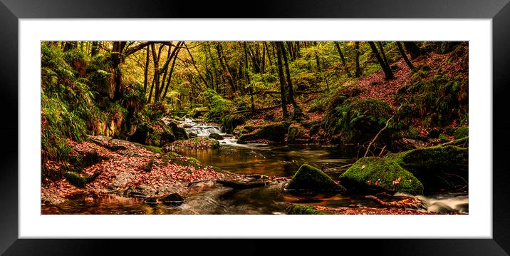 River Fowey, Golitha falls, Bodmin Framed Mounted Print by Maggie McCall