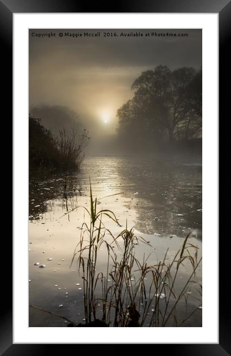 Misty Winter Sunrise on Tamar River, Devon Framed Mounted Print by Maggie McCall