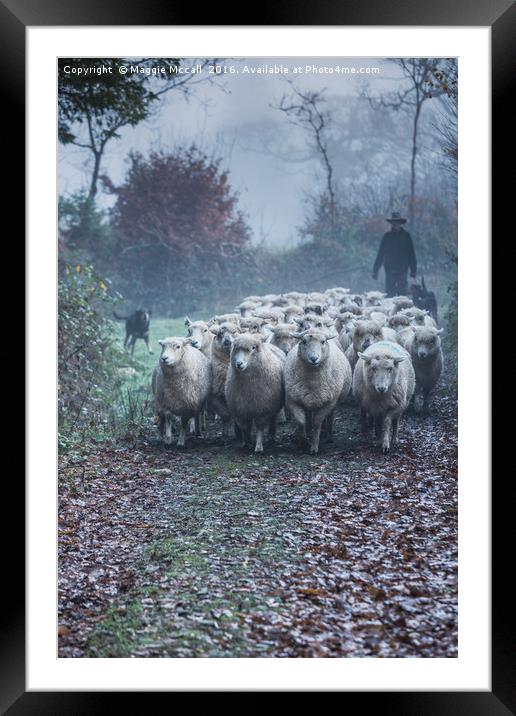 Moving Sheep Framed Mounted Print by Maggie McCall