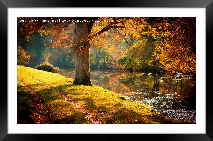 Autumnal Tamar River Walk Framed Mounted Print by Maggie McCall